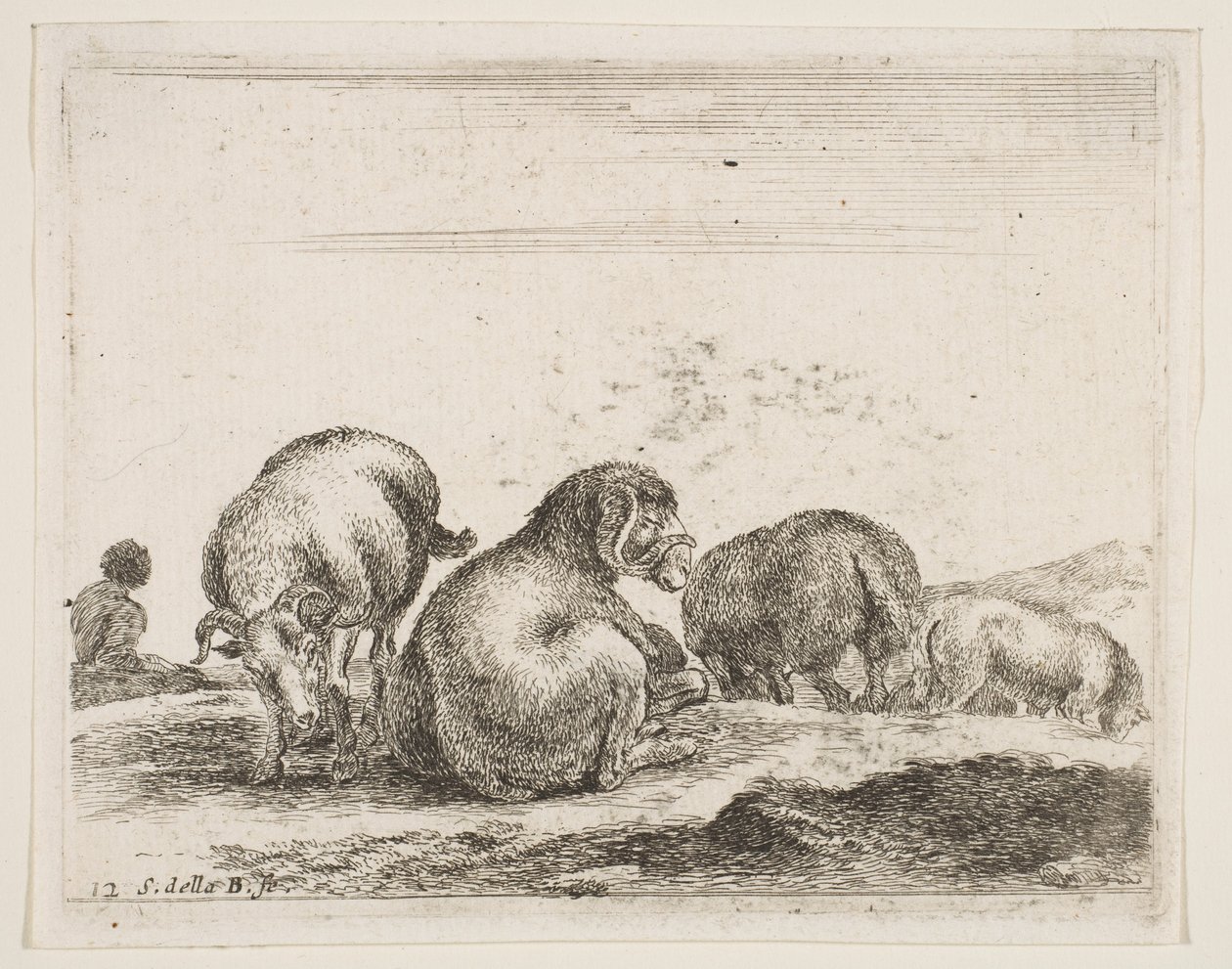 Plate 12: sau og vær på beite, fra Diverse dyr Diversi animali, ca. 1641. av Stefano della Bella