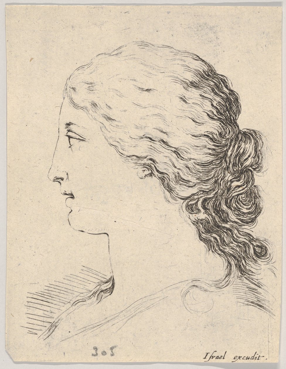 Plate 14: hodet til en kvinne, i profil, fra 