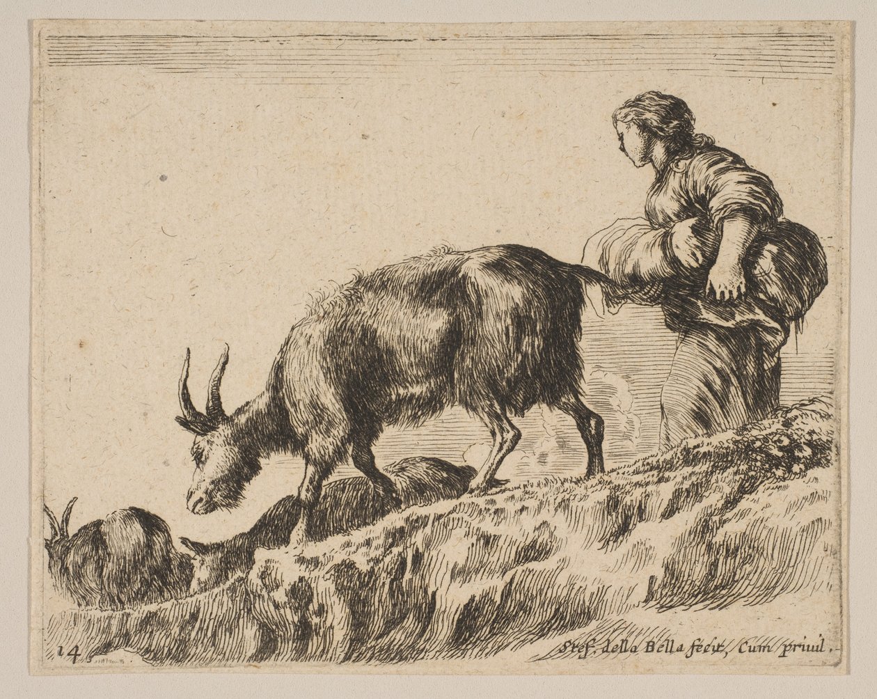 Plate 14: gjeterinne som gjeter geiter, ca. 1641. av Stefano della Bella