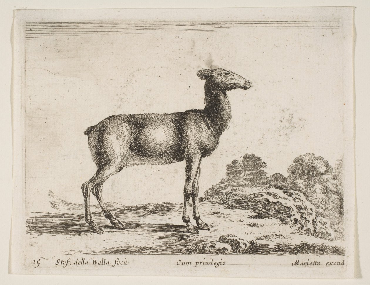 Plate 15: doe, fra Diverse dyr Diversi animali, ca. 1641. av Stefano della Bella
