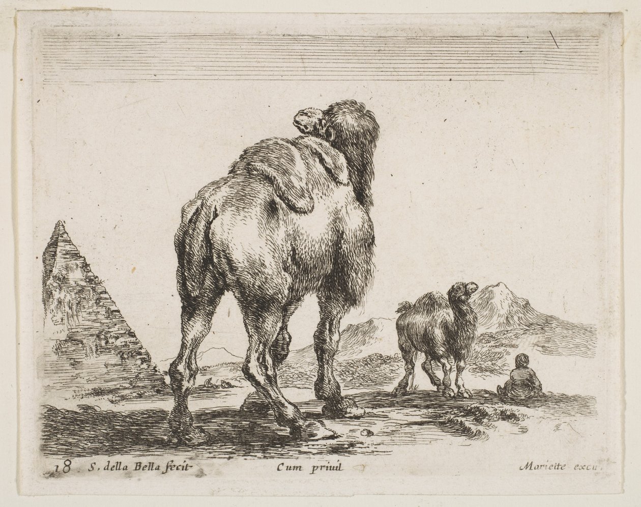 Plate 18: kamel sett bakfra med pyramide til venstre, fra Diverse dyr Diver..., ca. 1641. av Stefano della Bella