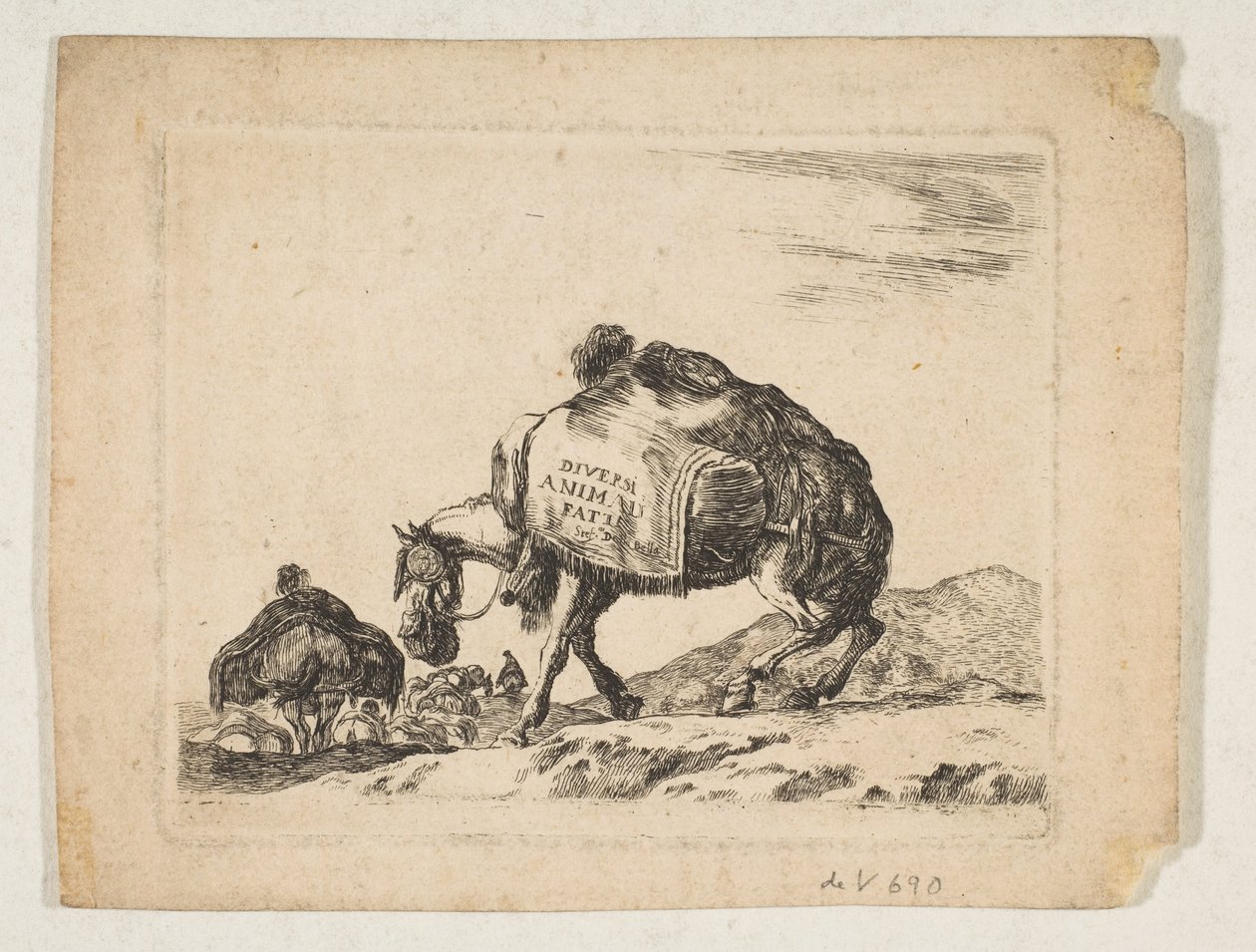 Plate 1: en pakkehest, fra 
