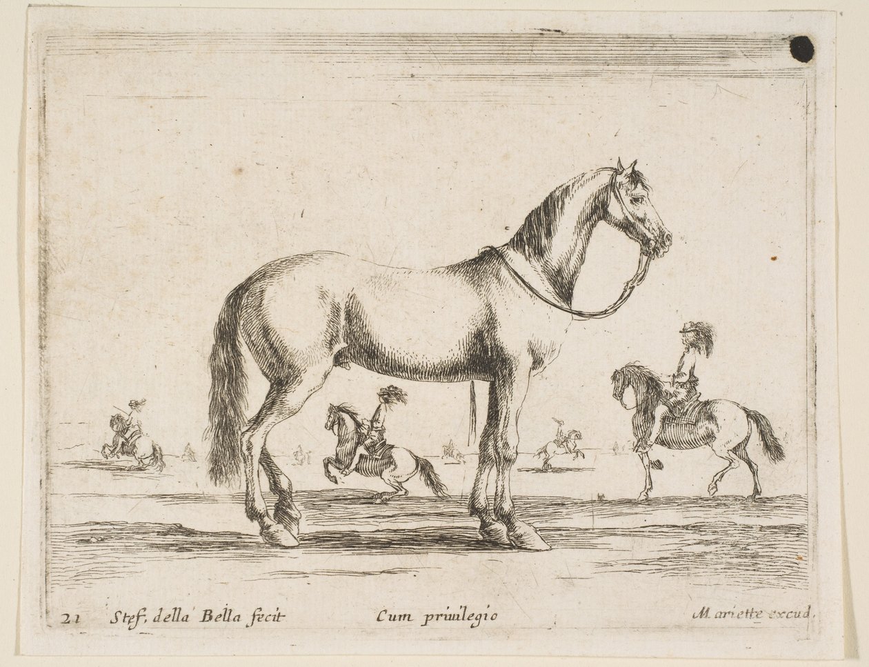 Plate 21: hest, fra Diverse dyr Diversi animali, 1641. av Stefano della Bella
