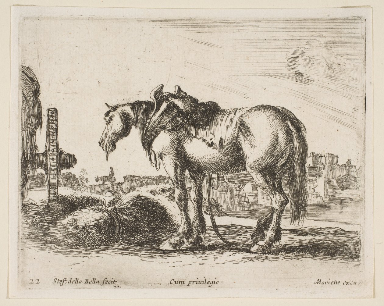 Plate 22: kjerrehest, fra Diverse dyr Diversi animali, ca. 1641. av Stefano della Bella