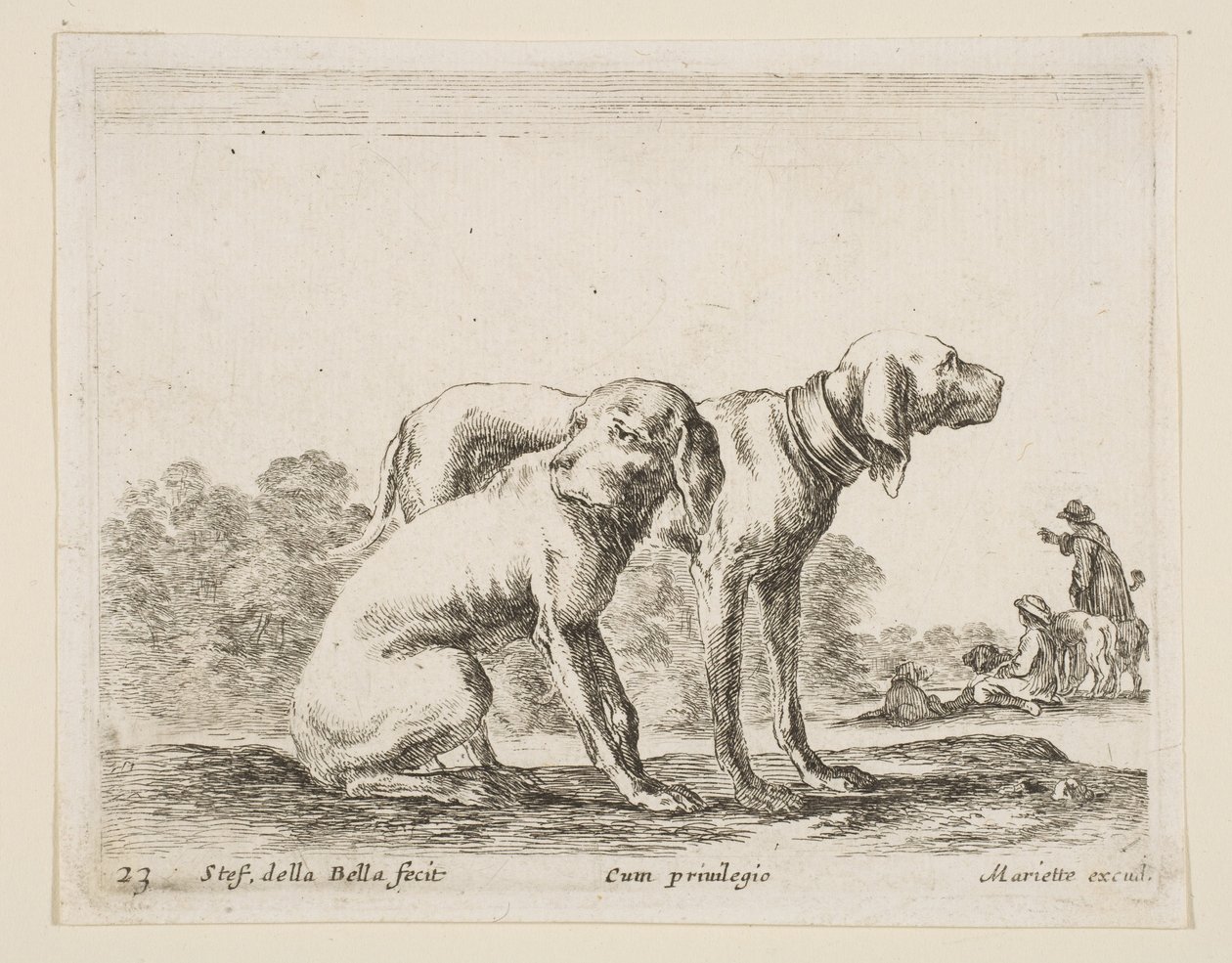 Plate 23: to hunder, fra Diverse dyr Diversi animali, ca. 1641. av Stefano della Bella