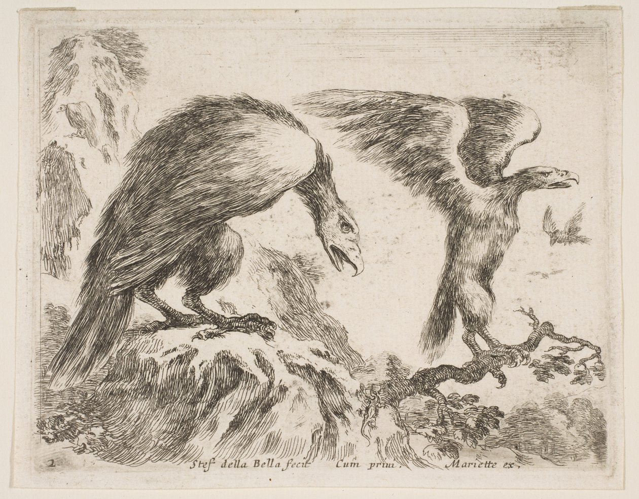 Plate 2: ørn og ørn, fra Diverse dyr Diversi animali, ca. 1641. av Stefano della Bella