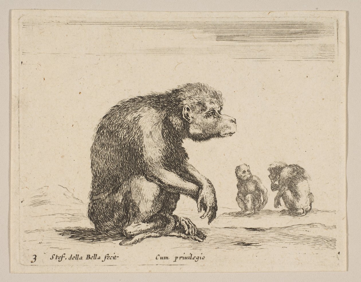 Plate 3: sittende ape, fra Diverse dyr Diversi animali, ca. 1641. av Stefano della Bella