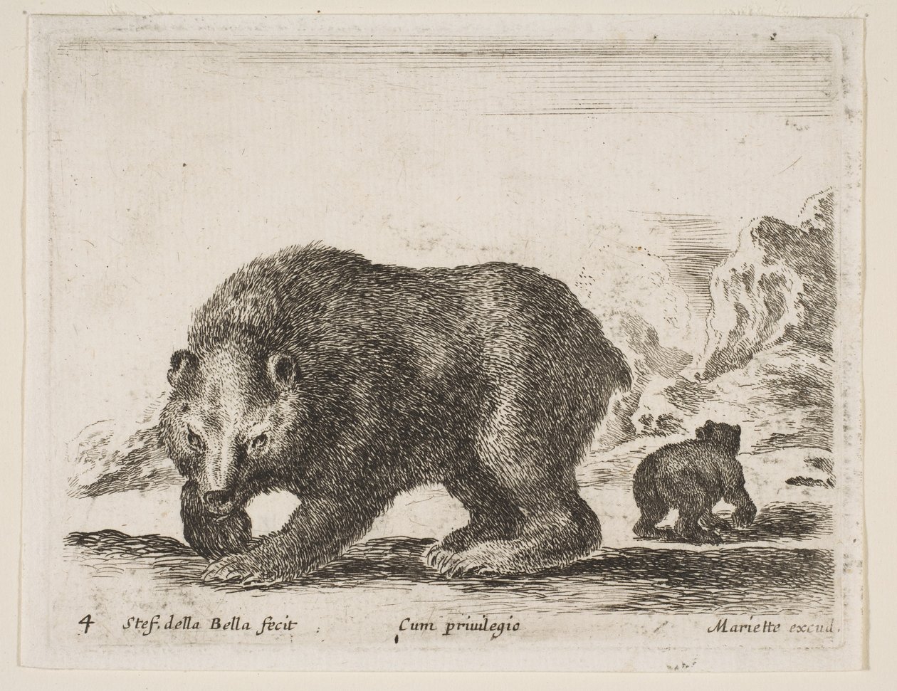 Plate 4: bjørn, fra 