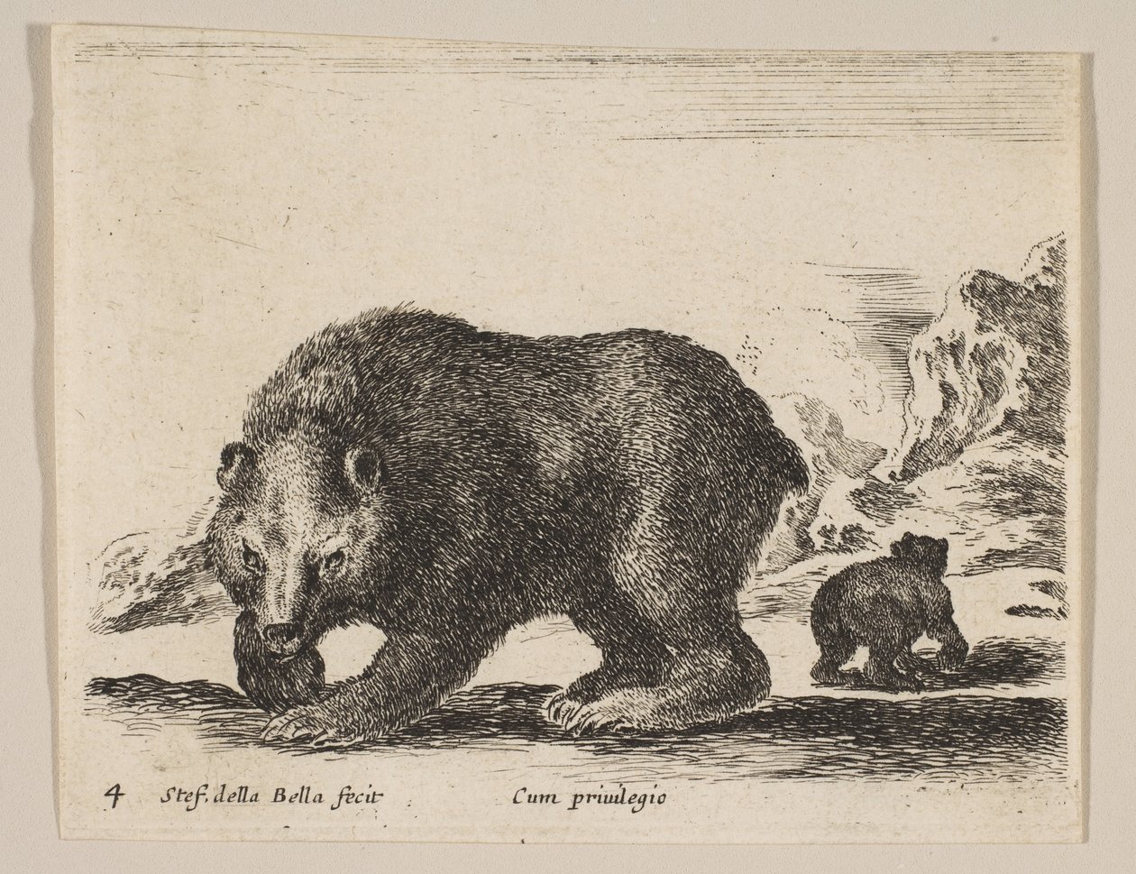 Plate 4: bjørn, fra 