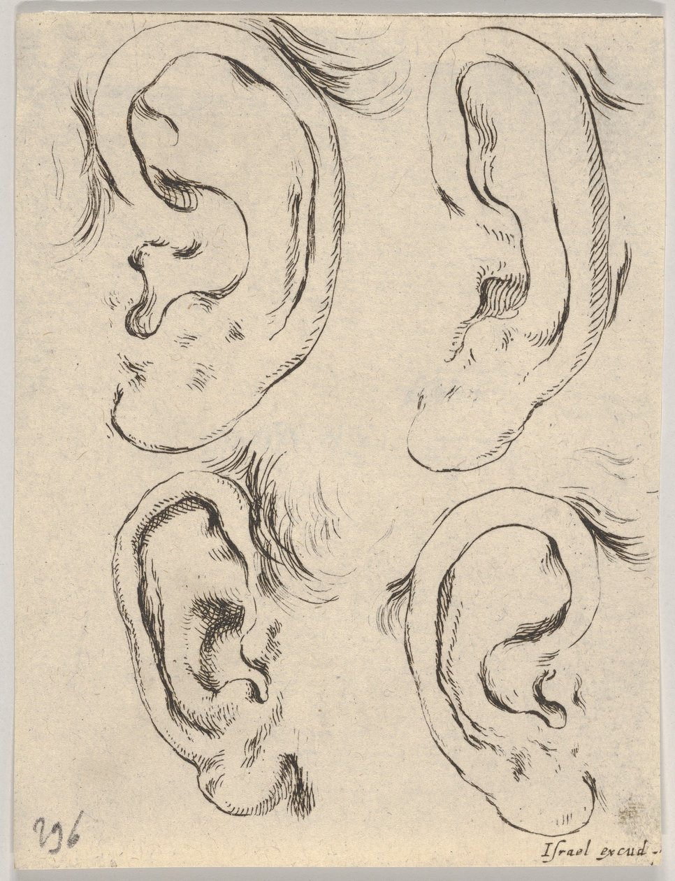 Plate 5: fire ører, fra The Book for Learning to Draw Book for learning to draw..., ca. 1649. av Stefano della Bella