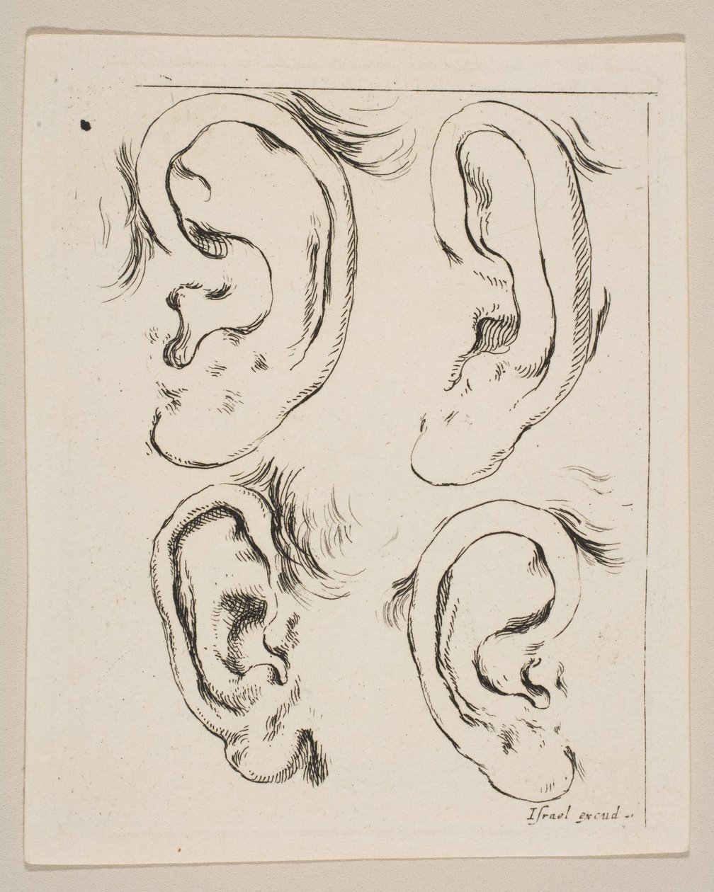 Plate 5: fire ører, fra The Book for Learning to Draw Book for learning to draw..., ca. 1649. av Stefano della Bella