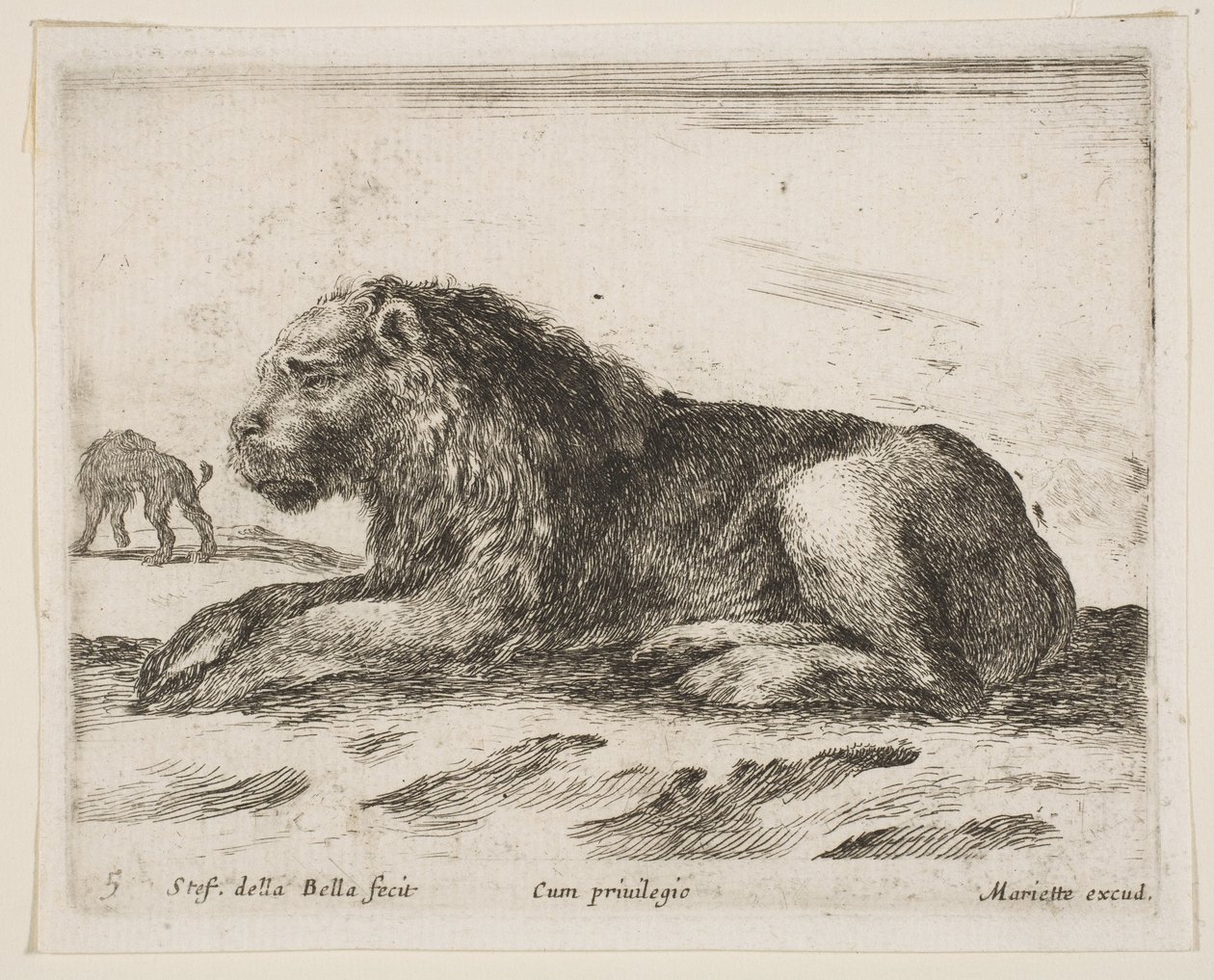Plate 5: liggende løve, fra Various animals Diversi animali, 1641. av Stefano della Bella