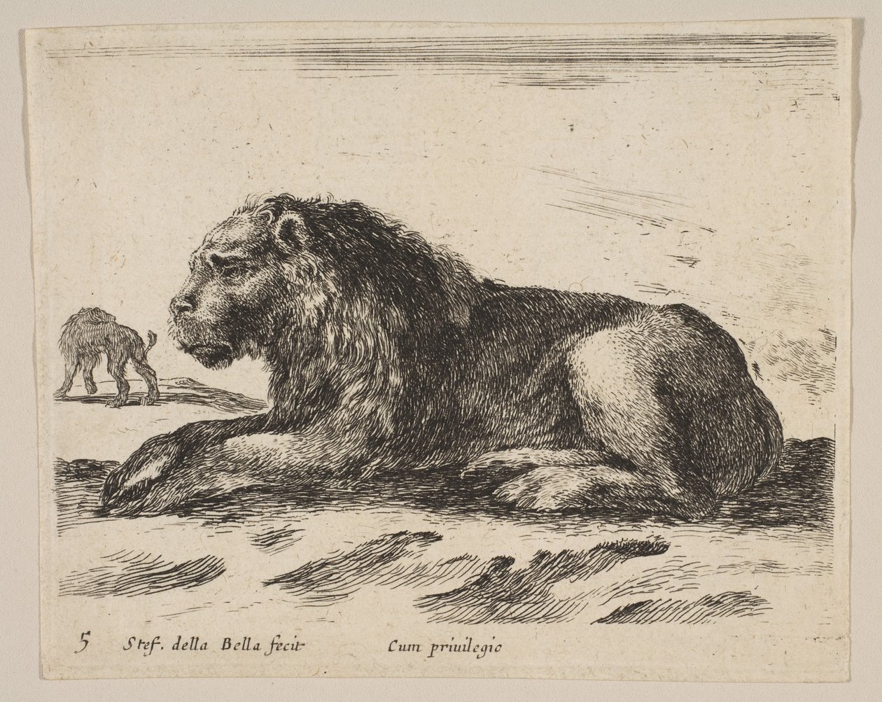 Plate 5: liggende løve, fra Diverse dyr Diversi animali, ca. 1641. av Stefano della Bella