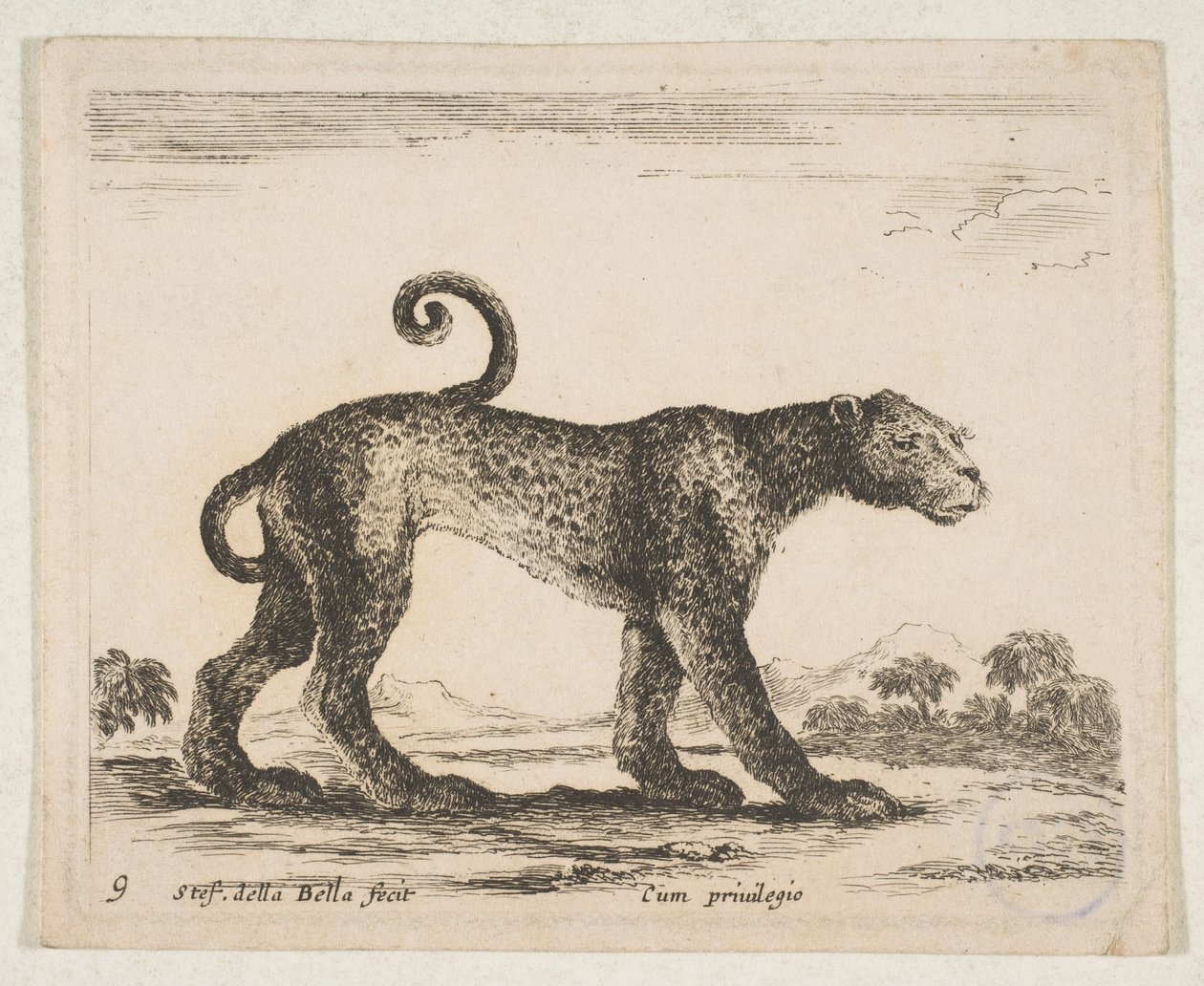 Plate 9: leopard, fra 