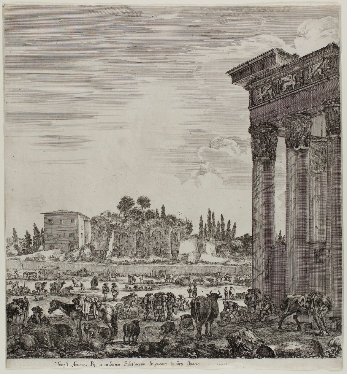 Antonins tempel og Campo Vaccino av Stefano della Bella