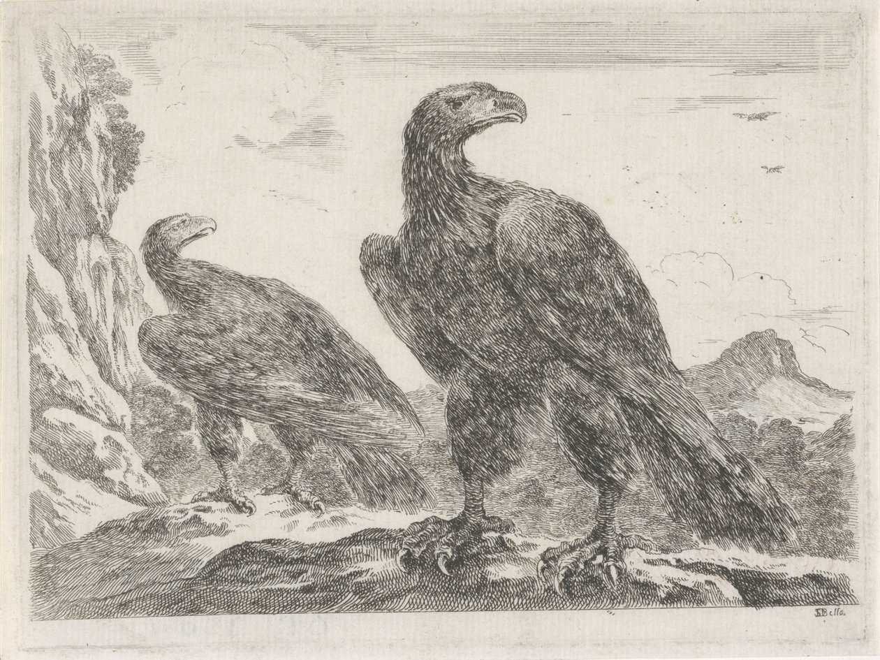 To ørner med hodet til høyre Eagles (serietittel) av Stefano della Bella