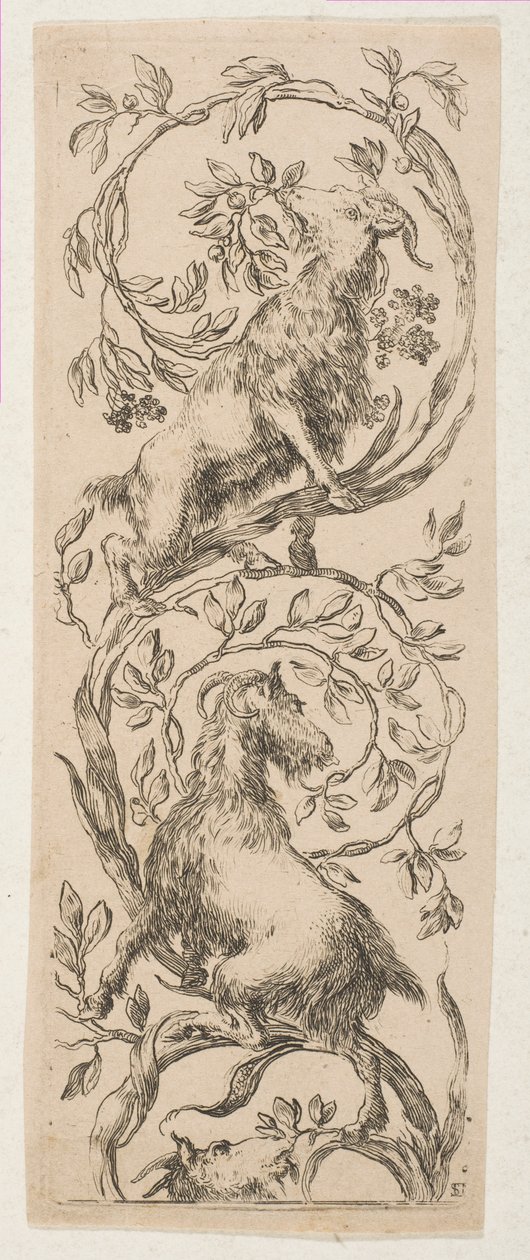 To geiter nappe grener, ca. 1653. av Stefano della Bella
