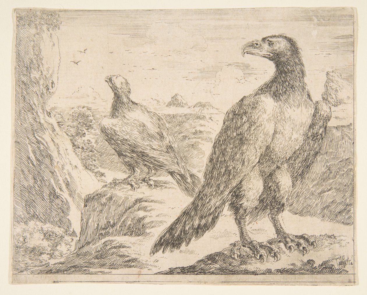 To ørner, fra Eagles Les aigles, ca. 1651. av Stefano della Bella