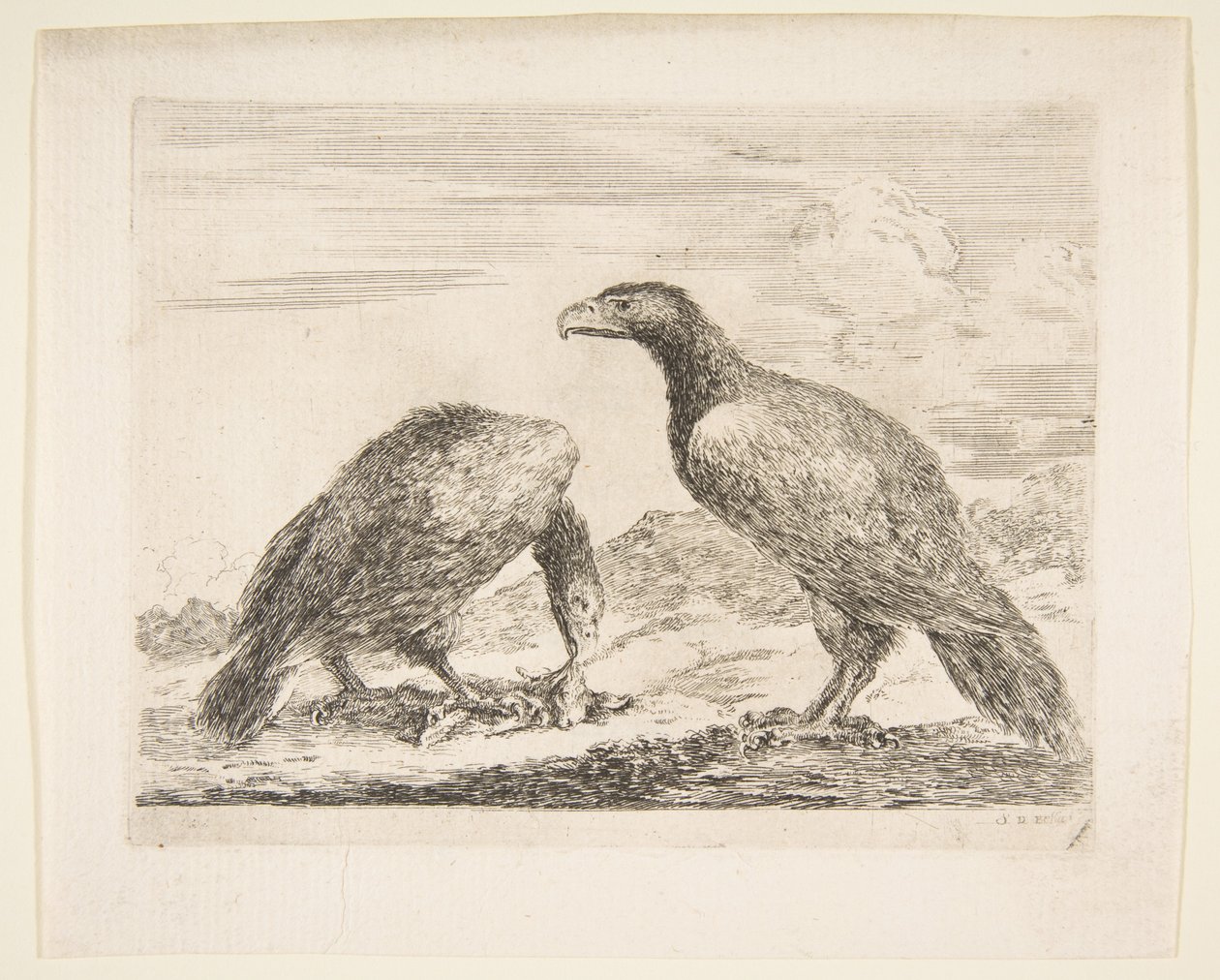 To ørner, en som sluker et lam, fra Eagles Les aigles, ca. 1651. av Stefano della Bella