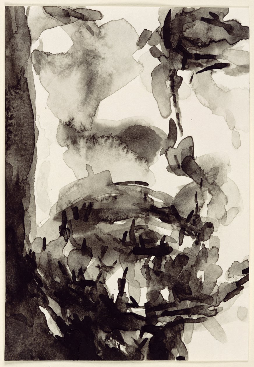 Face, 2001 (wc på papir) av Stephen Finer