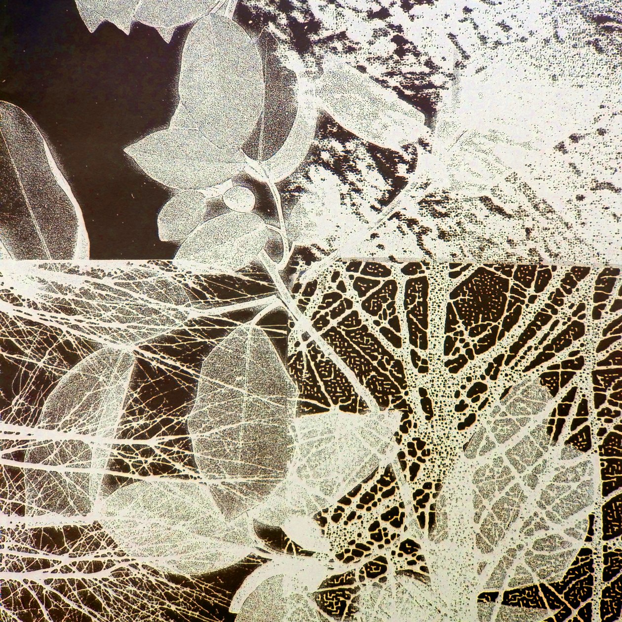 Nattskogen, 2018 (digital) av Stephen Dow