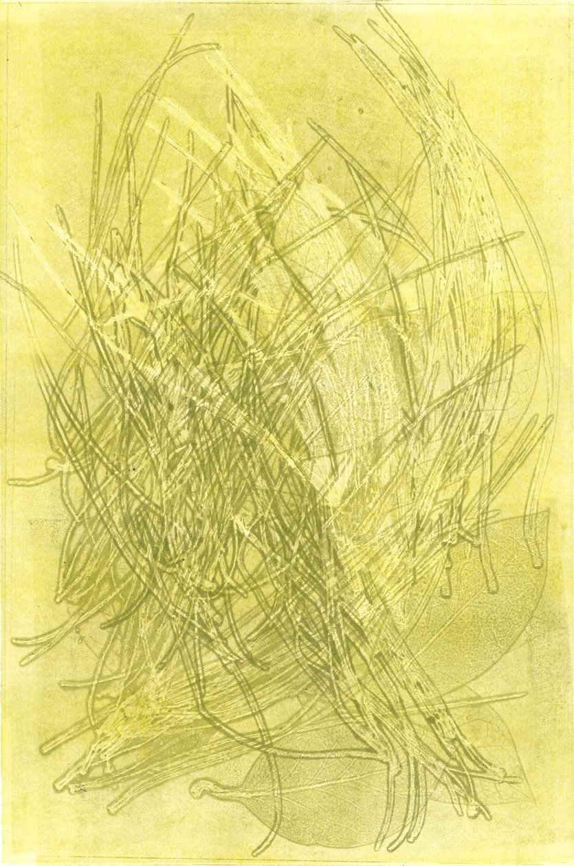  av Stephen Dow