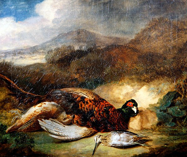 Fasan og tresneppe i et landlig landskap (olje på lerret) av Stephen Elmer