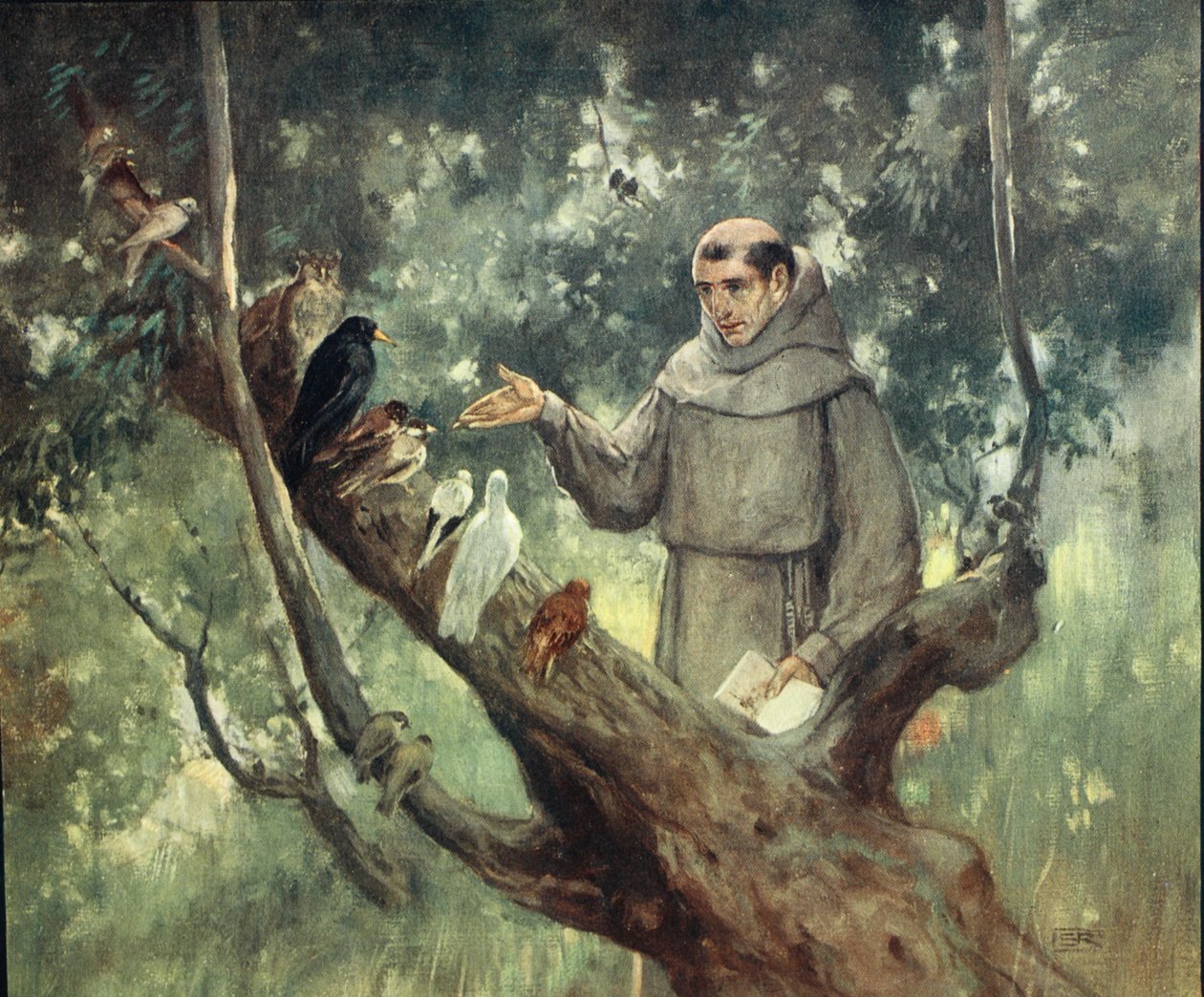 Saint Francis forkynner for fuglene, illustrasjon fra 