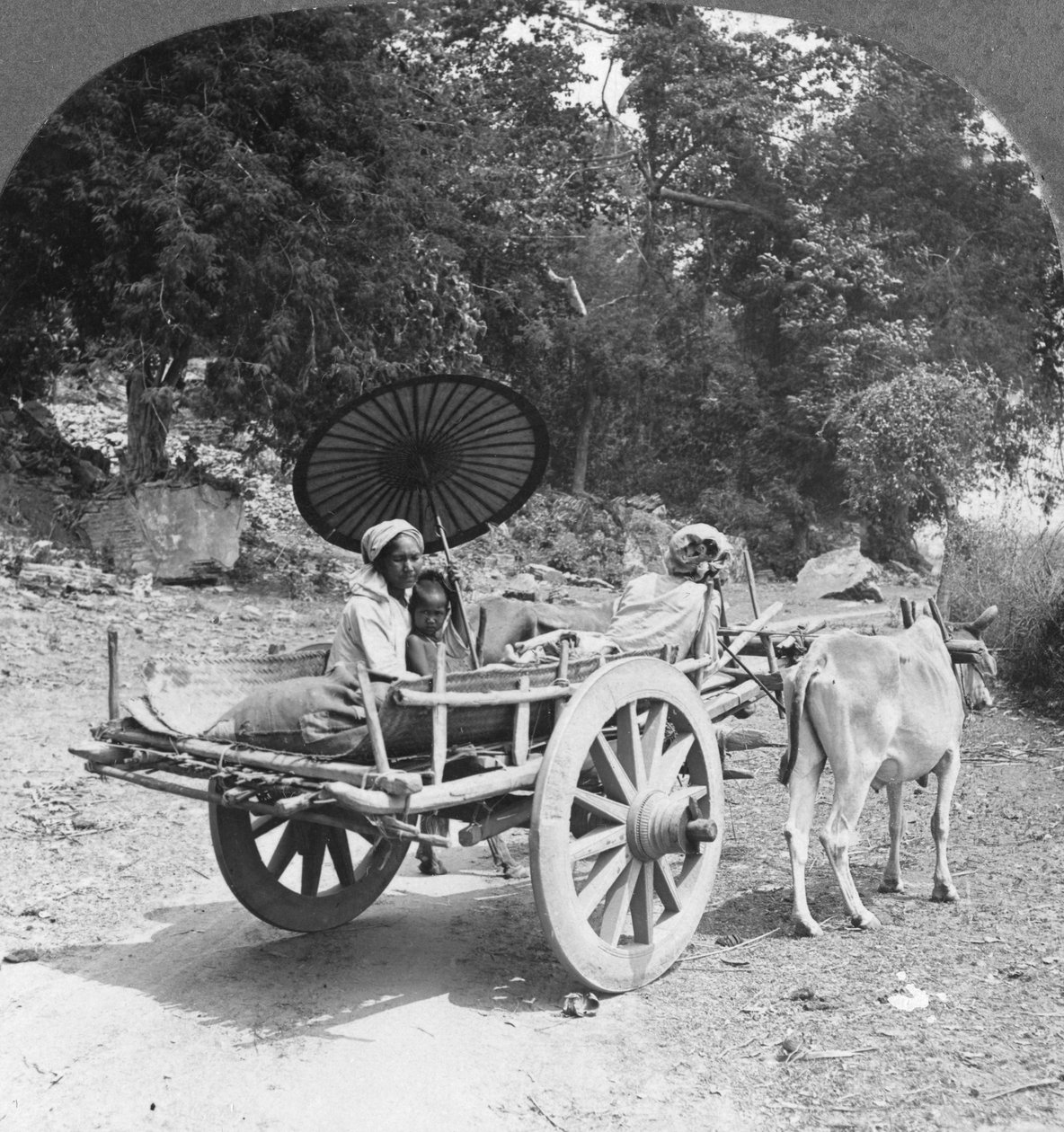 Familie på reise gjennom jungelen nær Mingun, Burma, 1908 av Stereo Travel Co