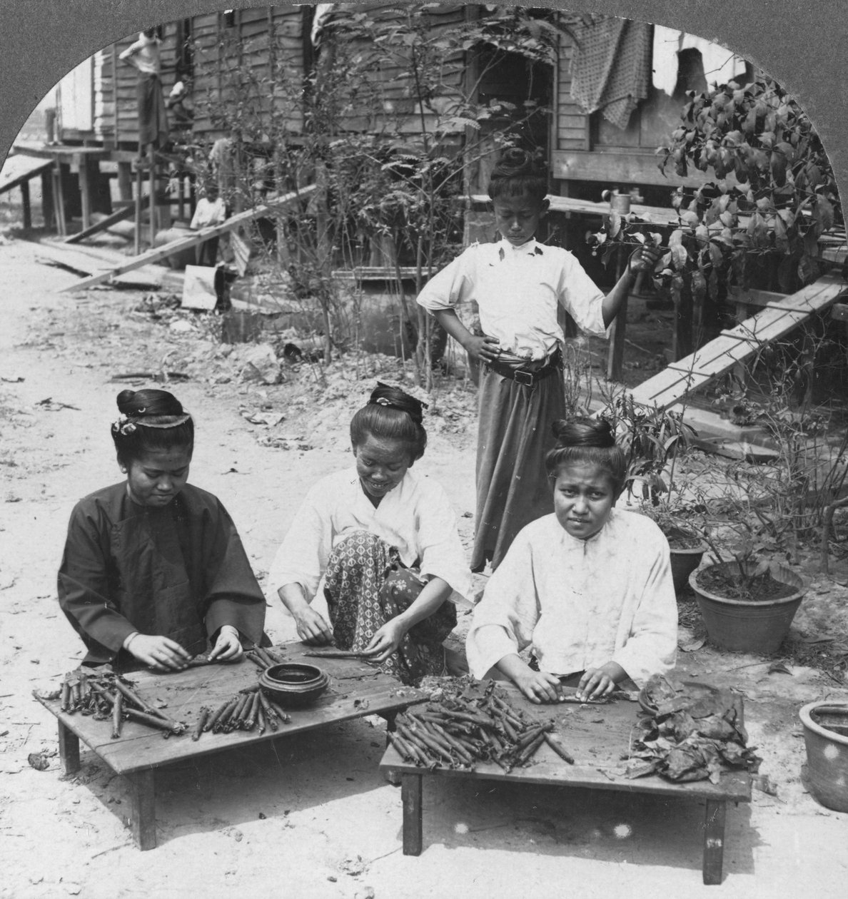 Lage de enorme sigarene som røykes av kvinner, Burma, 1908 av Stereo Travel Co