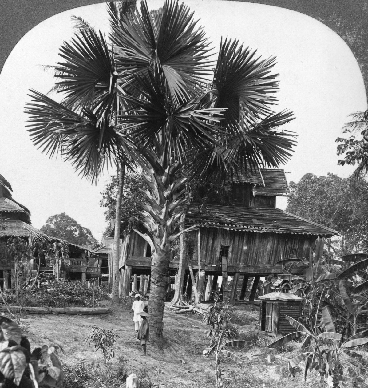Innfødt hus bygget på hauger, Bhamo, Burma, 1908 av Stereo Travel Co