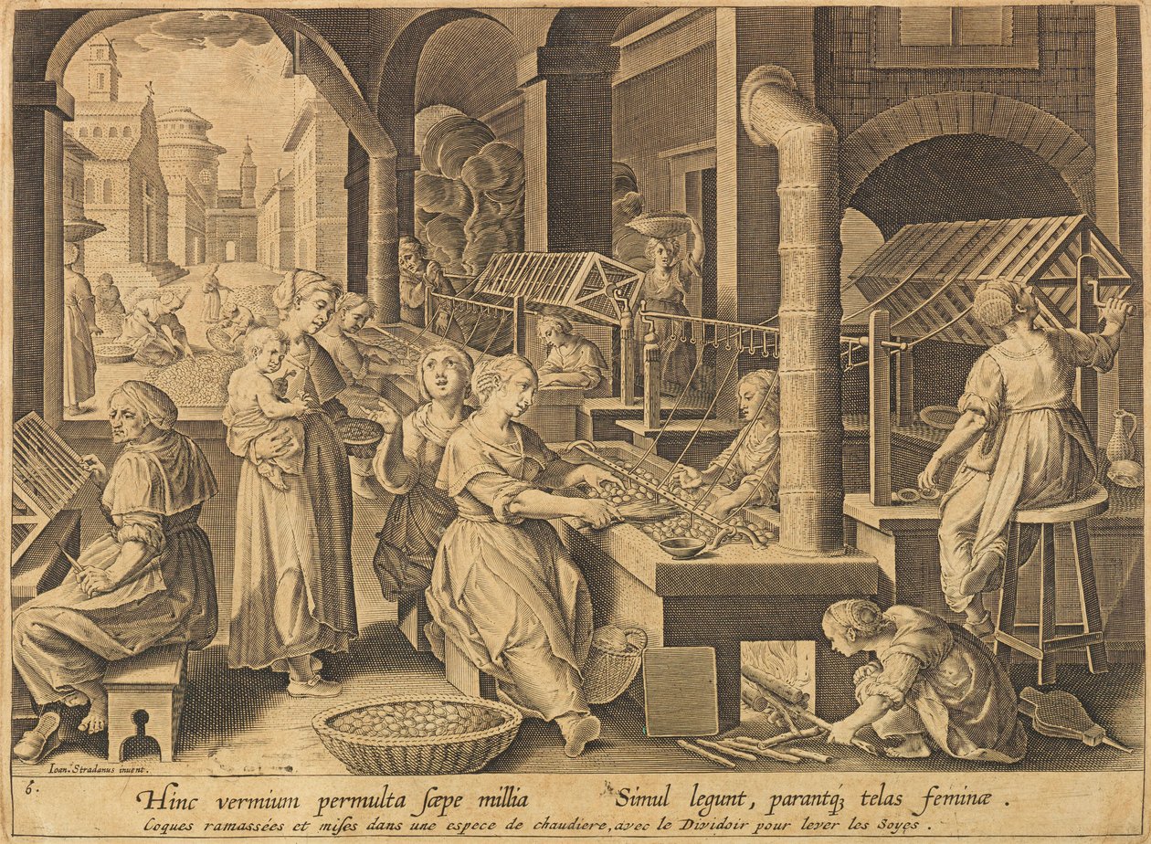 Silkeekstraksjon Vermis sericus, etter 1640. av Stradanus