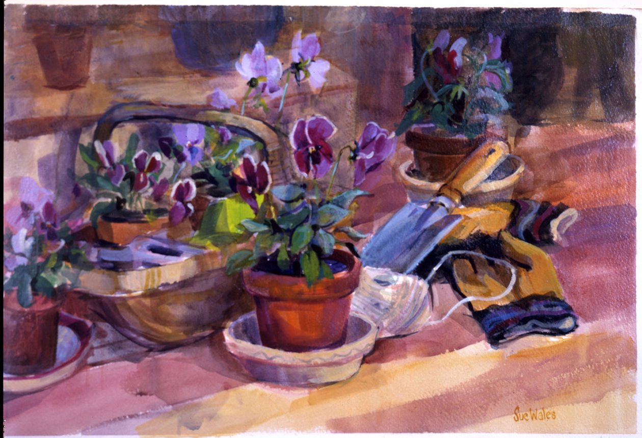 Potting up the stemorsblomster, 1996, (gouache på kort) av Sue Wales