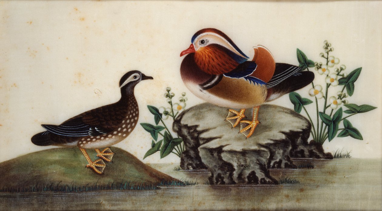 Maleri - To ender og blomstrende vannplanter ved en dam, sent c19 av Sunqua