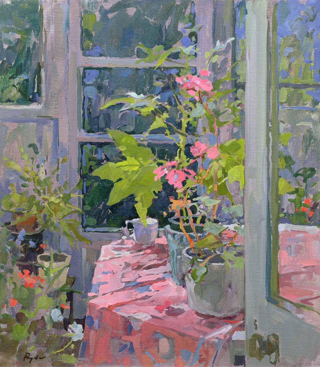 Pelargonier og rosa tøy av Susan Ryder
