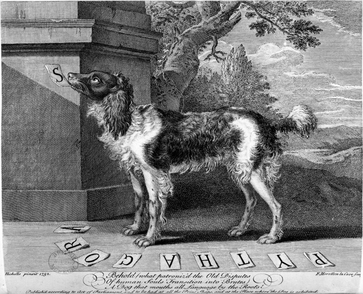 The New Chien Savant, eller Learned Dog, trykk laget av F-Morellon la Cave, 1752 av Sutton Nicholls