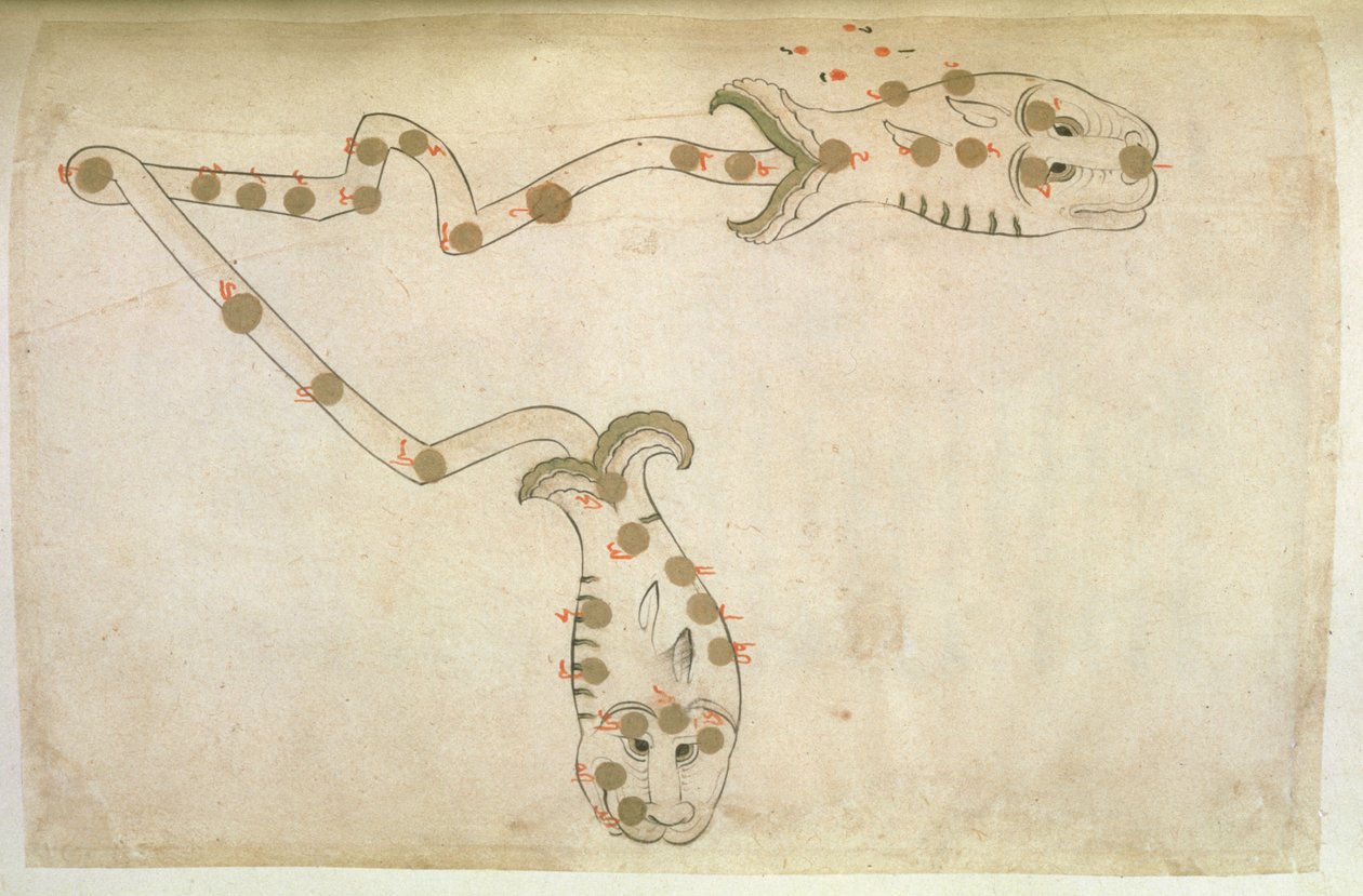 Representasjoner av dyrekretsen: Fiskene, fiskene, 1497-1498 (903 Hijra) av Suvar Al Kavakib