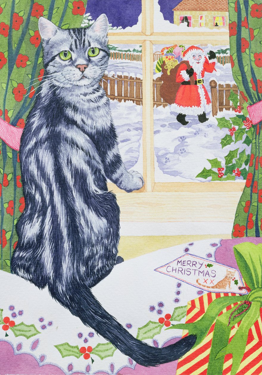En julegjest for Toby av Suzanne Bailey