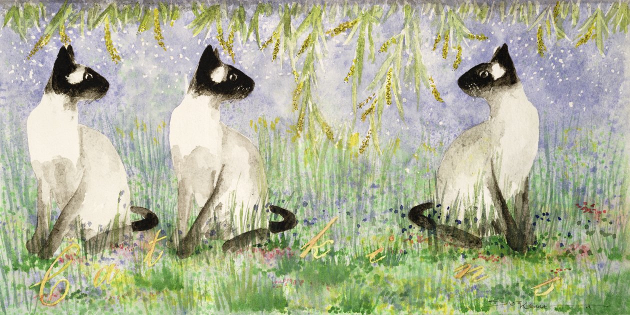 Cat Kins (wc på papir) av Suzi Kennett