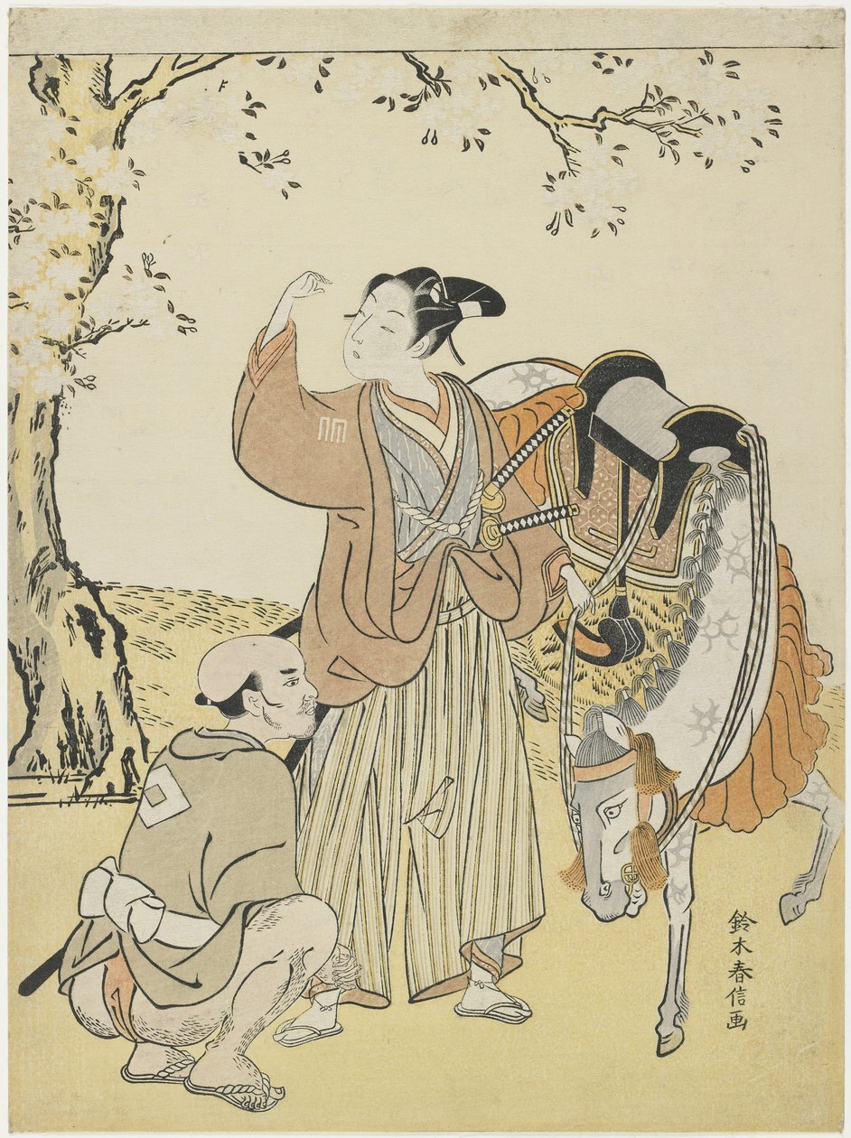 Unge samurai som ser på kirsebærblomster som en mildring av prins Kaoru, ca. 1767 av Suzuki Harunobu