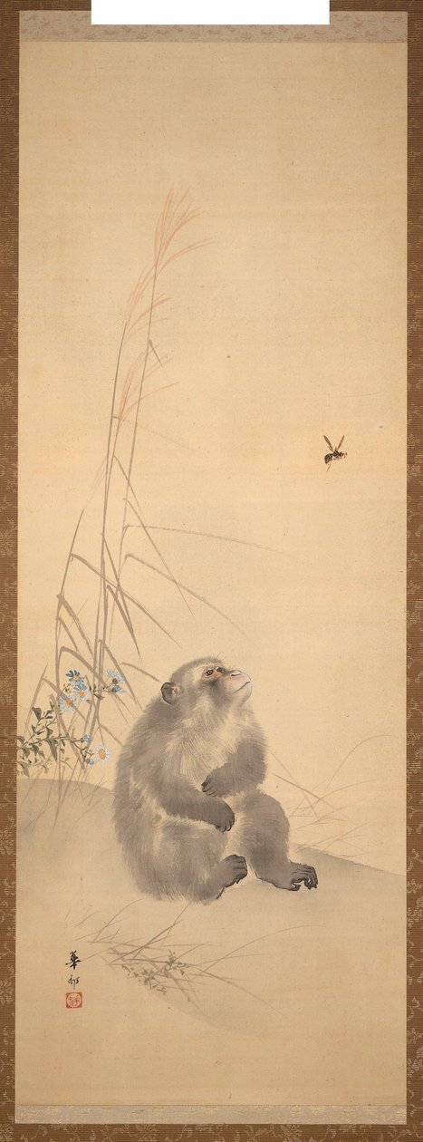 Du av Suzuki Kason