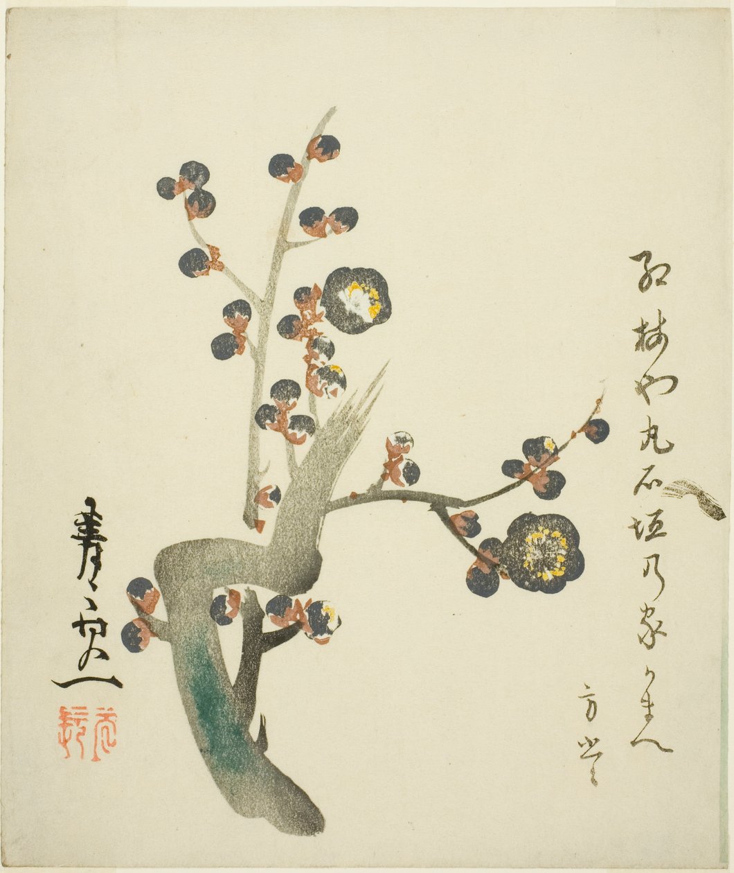  av Suzuki Kiitsu