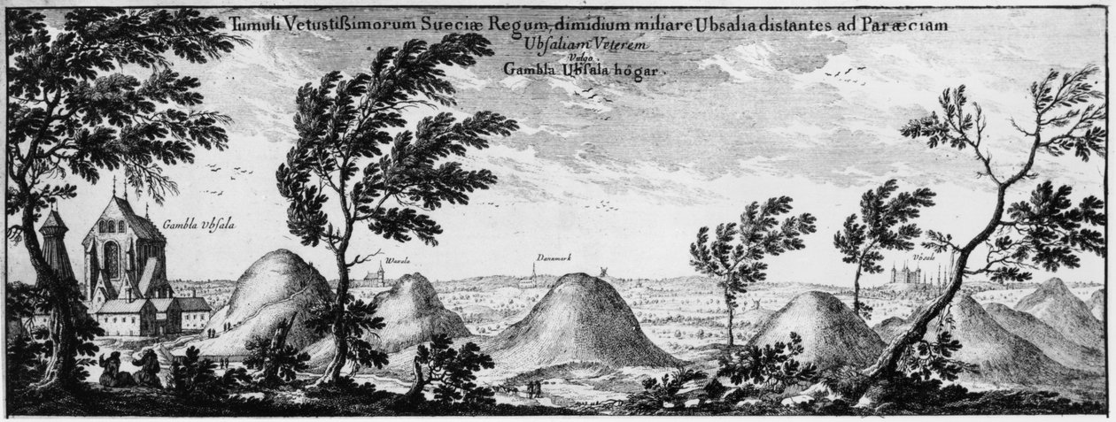 Gravhauger i Uppsala, Sverige av Swedish School
