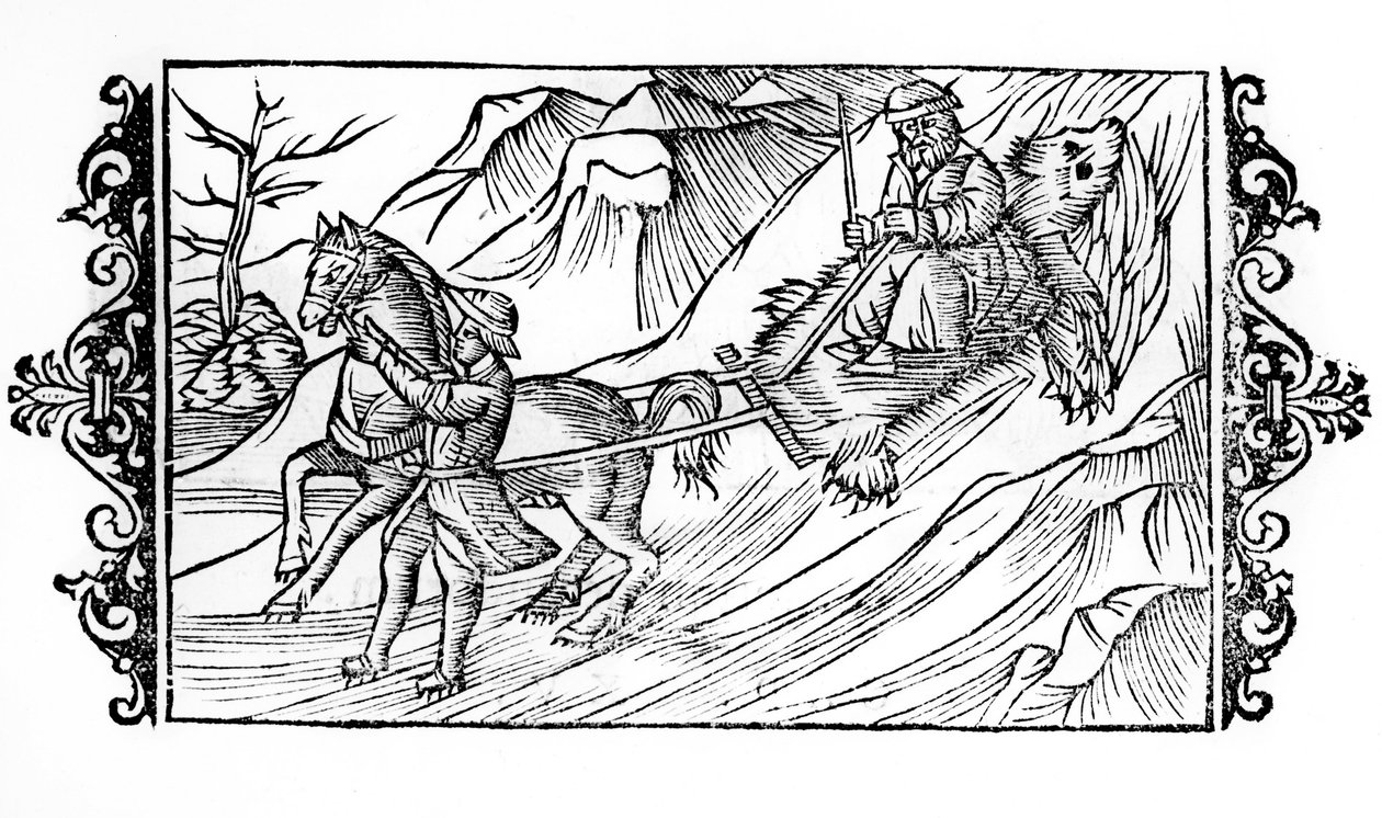 Hest som drar på snøen et bjørneskinn som en finsk sitter på - i "" De Gentibus septrionalibus"" av erkebiskop Olaus Magnus, Sverige av Swedish School