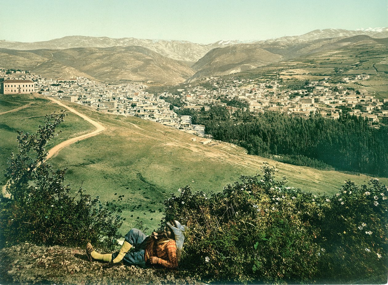 Zahleh, Anti-Libanon, ca. 1880-1900 (fotokrom) av Swiss Photographer