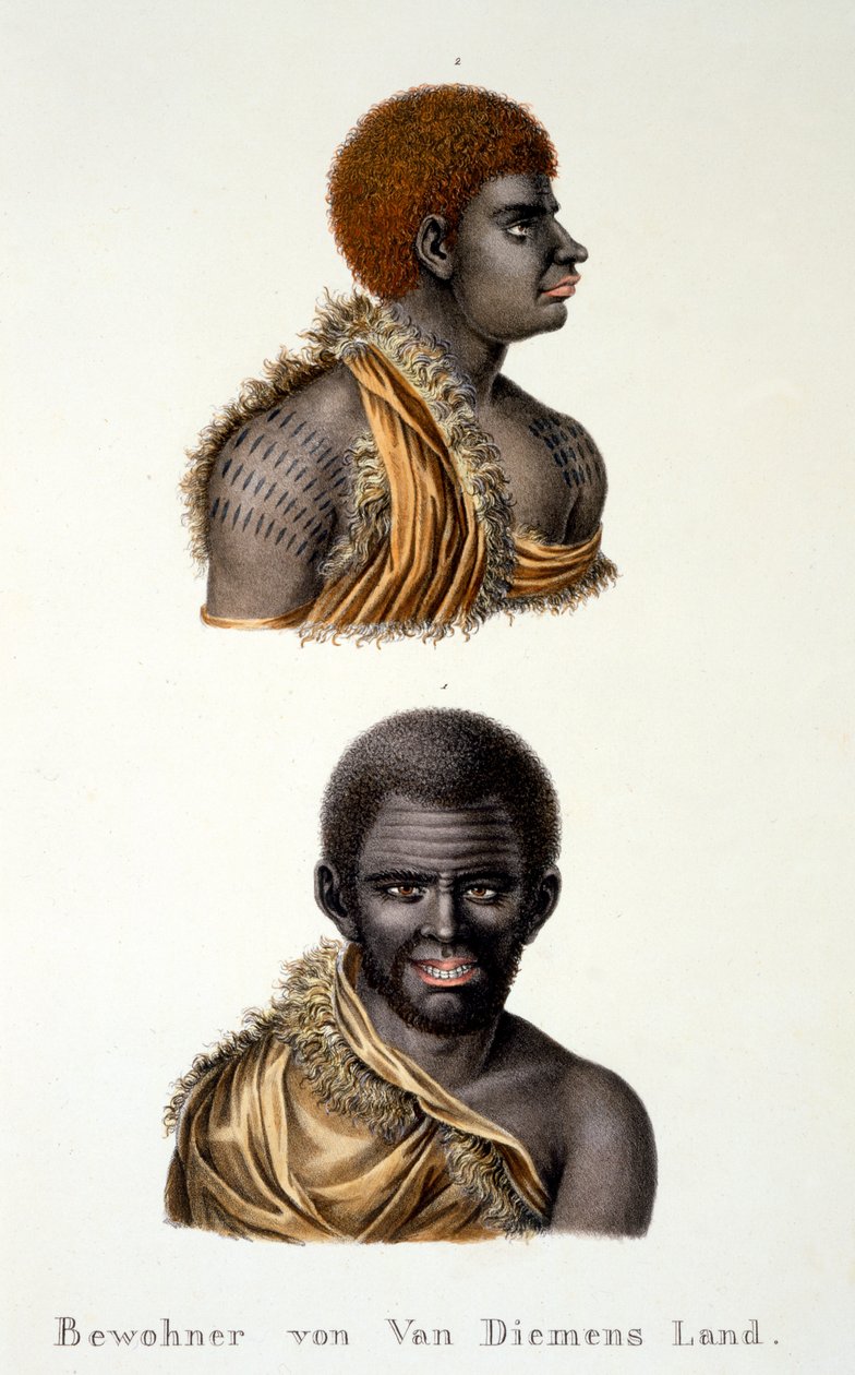 Innfødte i Van Diemans Land, dvs. Tasmania, fra Etnologisk studie av forskjellige rasetyper fra forskjellige kontinenter, av C.I. Brodtmann, 1824 av Swiss School