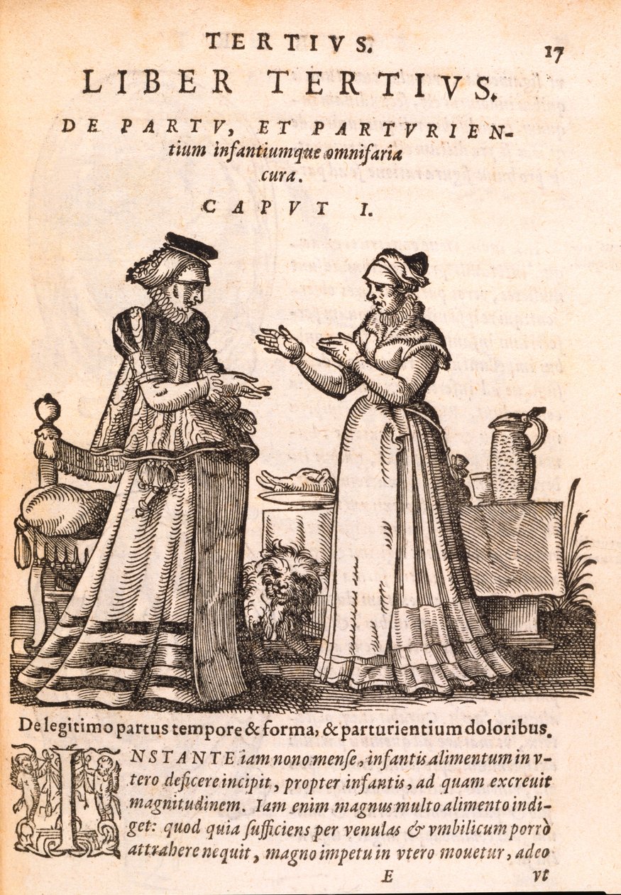Sykepleier som pleier en pasient med en såret hånd, fra De Concepta et Generatione Hominis av Jakob Ruf, 1587 (trykk og tresnitt på papir) av Swiss School