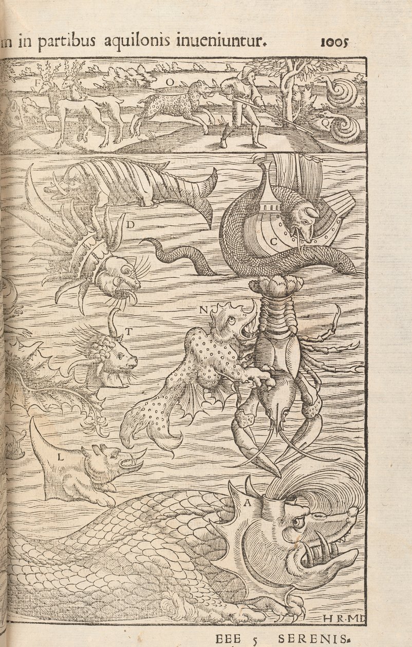 Side 1005 fra Cosmographiae Universalis av Sebastian Muenster, Basel, 1572 av Swiss School