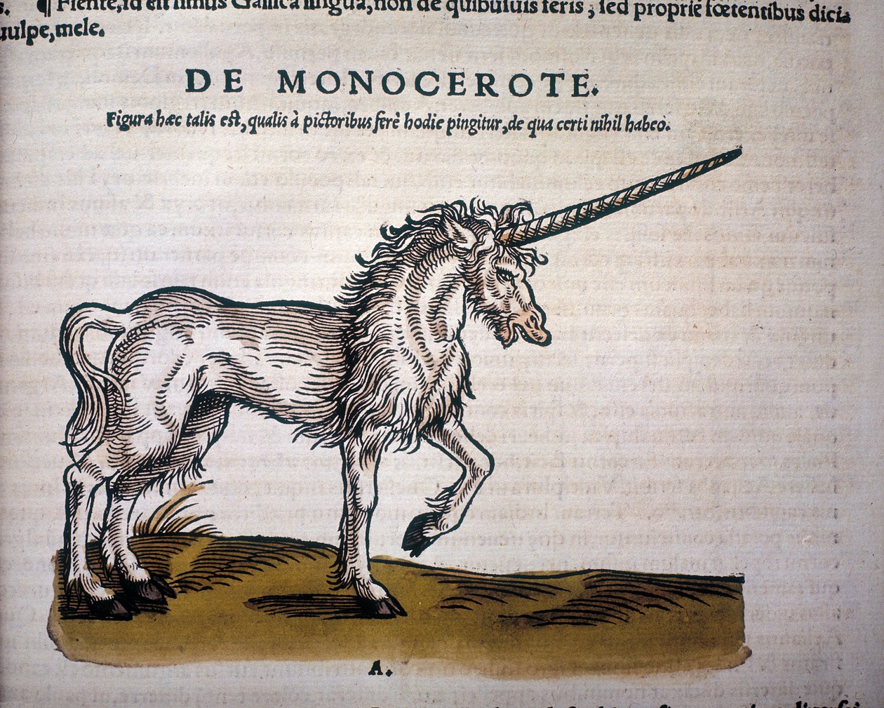 Unicorn, illustrasjon fra 