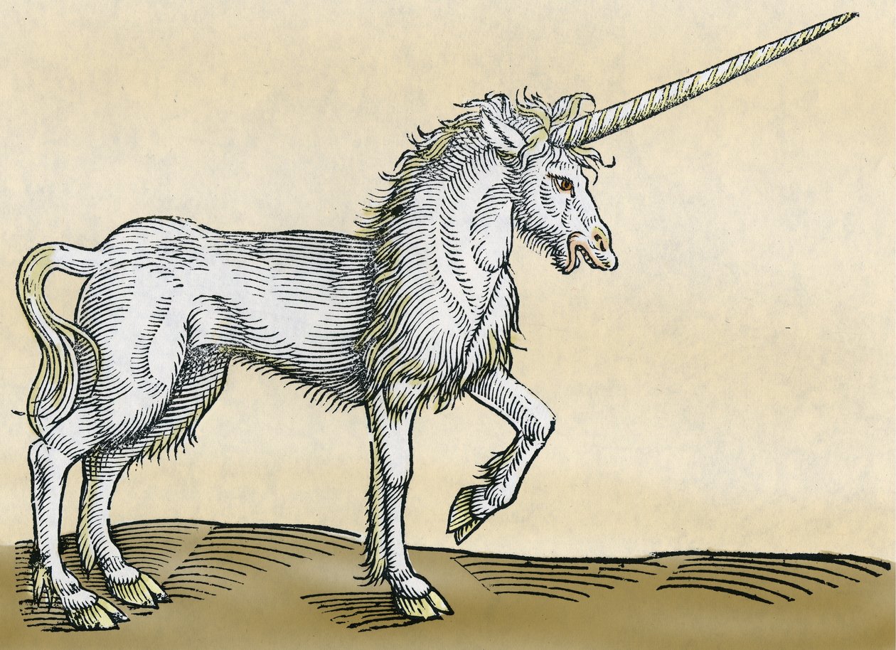 Enhjørning, illustrasjon fra Historia Animalium av Conrad Gesner, 1551 av Swiss School